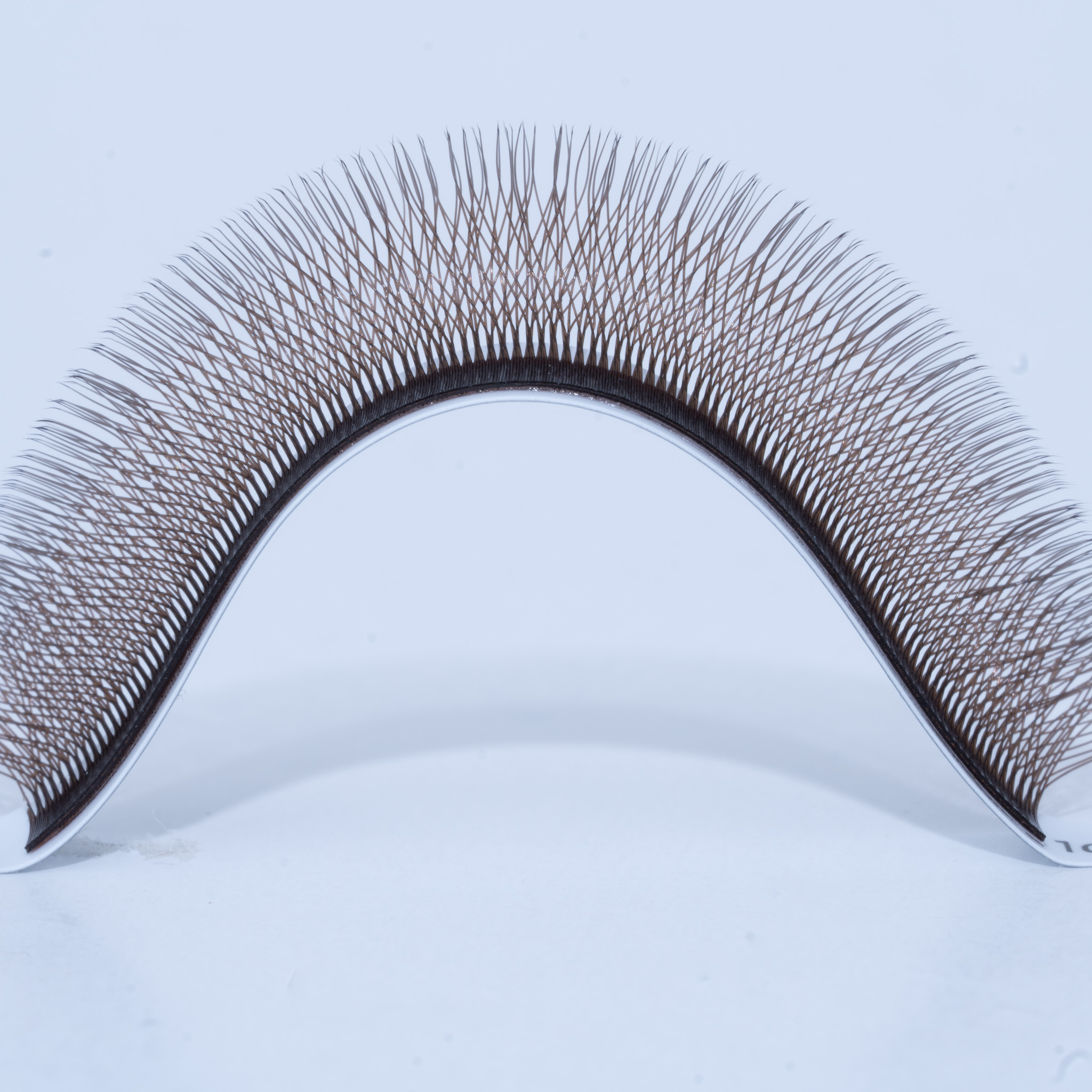 cristel studio W ripsmed valmislehvikud ripsmepikendused W ripsmed4 cristel studio W ripsmed valmislehvikud ripsmepikendused W ripsmed